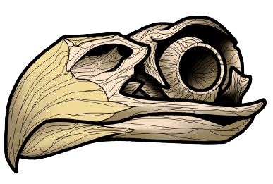 Eagle Bones Media Logo